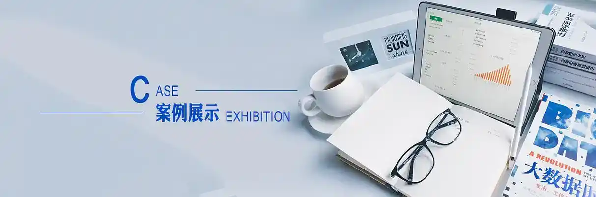 阳山县软件开发